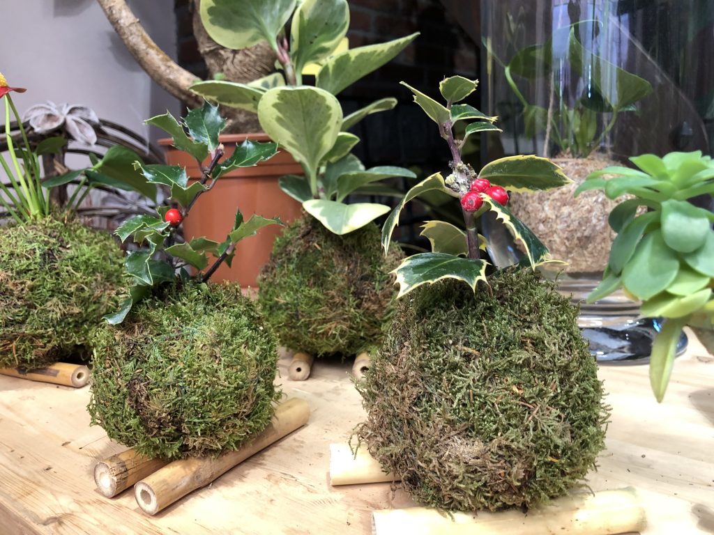 kokedama-per-le-feste