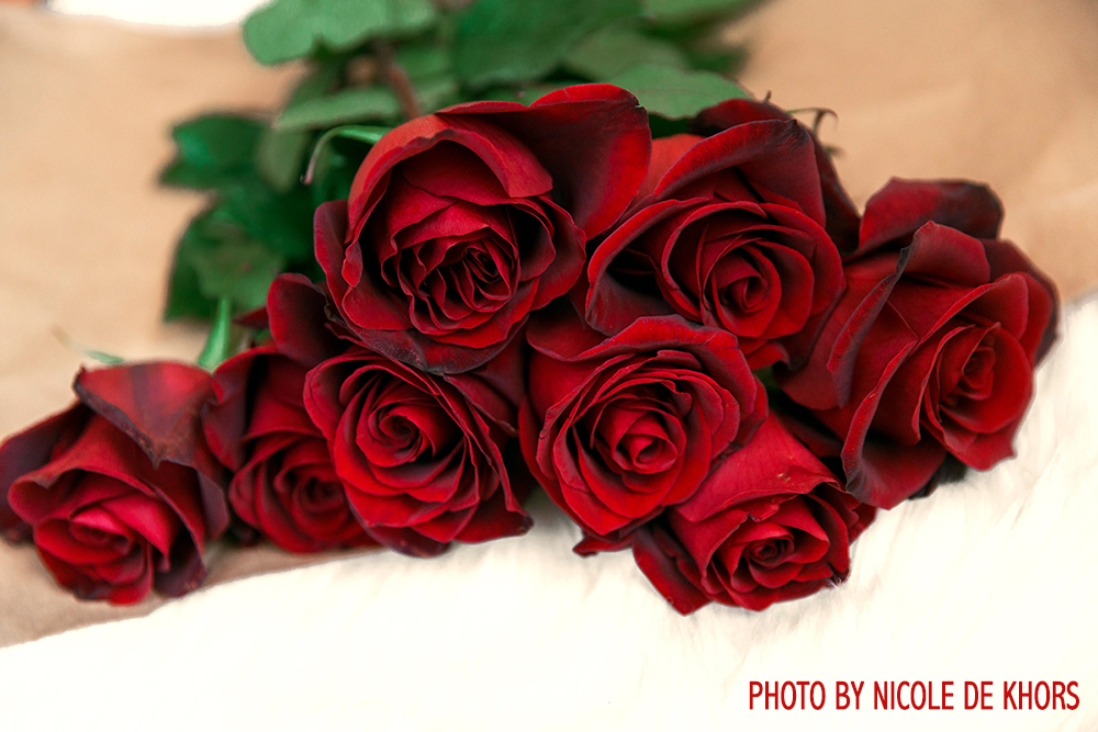 Regala una rosa rossa a San Valentino ❤️ - Fiori di Pia
