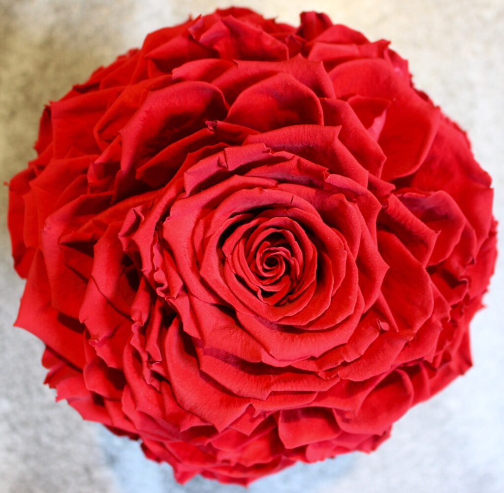 bouquet rose rosse